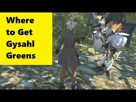 ff14 gysahl greens where to buy|ffxiv buy gysahl greens.